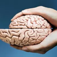 ۳ نیاز اساسی مغز