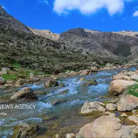 طبیعت بهاری «بیدکان» در چهارمحال و بختیاری