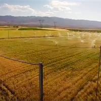 کارگر نخبه ملی ساوجی چگونه با نوآوری، کشاورزی سنتی را متحول کرد؟