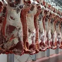 بازار مصرف گوشت منقبض شد