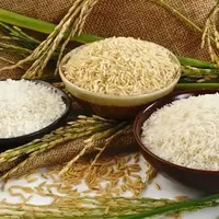 روایت رئیس اتحادیه بنکداران مواد غذایی از اقدام عجیب برخی فروشگاه‌ها برای فروش برنج