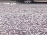 بارش شدید تگرگ در تبریز