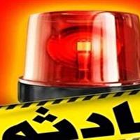 وزش باد شدید در کرج ۱۳ حادثه بر جای گذاشت
