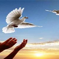 آزادی هفت زندانی زن در چهارباغ البرز