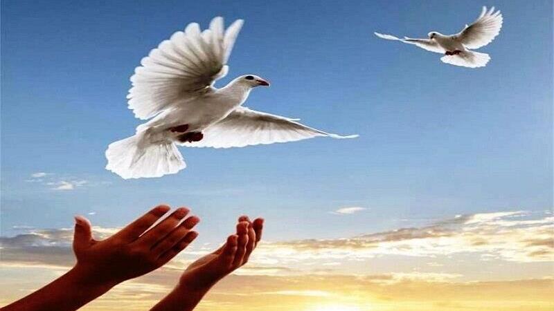 آزادی 7 زندانی زن در چهارباغ البرز