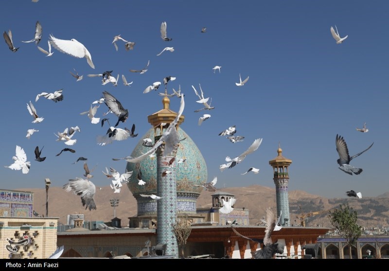 عکس/ «شاهچراغ» نگینی بر سومین حرم اهل بیت(ع)