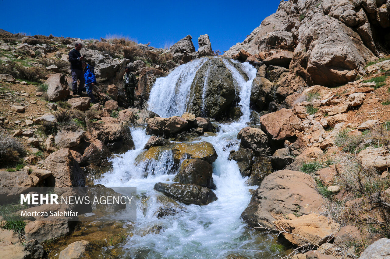 طبیعت بهاری «بیدکان» در چهارمحال و بختیاری