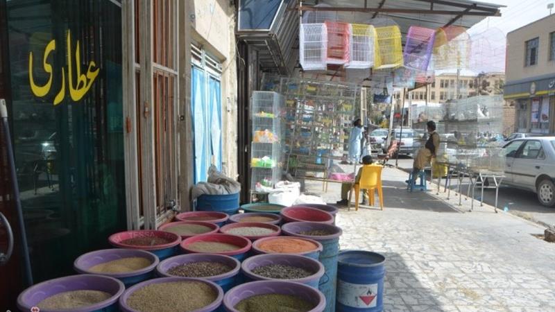 کشف 3 هزار قرص روانگردان در 5 عطاری پایتخت