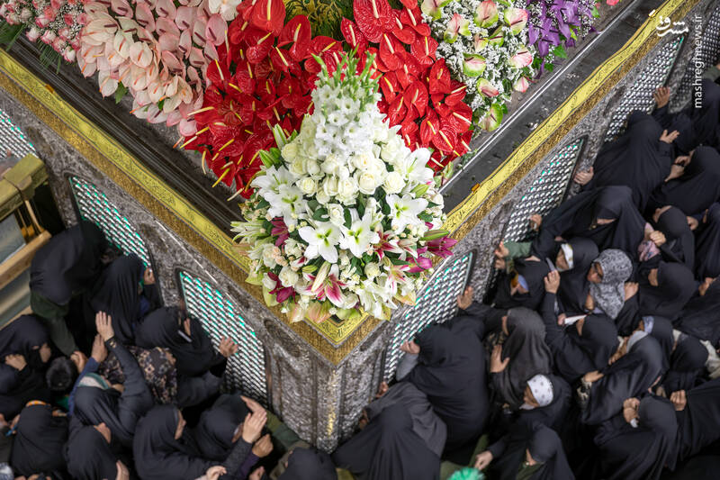 عکس/ گل‌آرایی ضریح نورانی علی ابن موسی الرضا(ع)