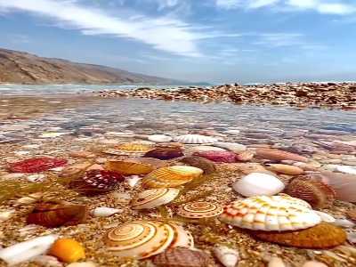 سواحل زیبا و رنگی هرمزگان