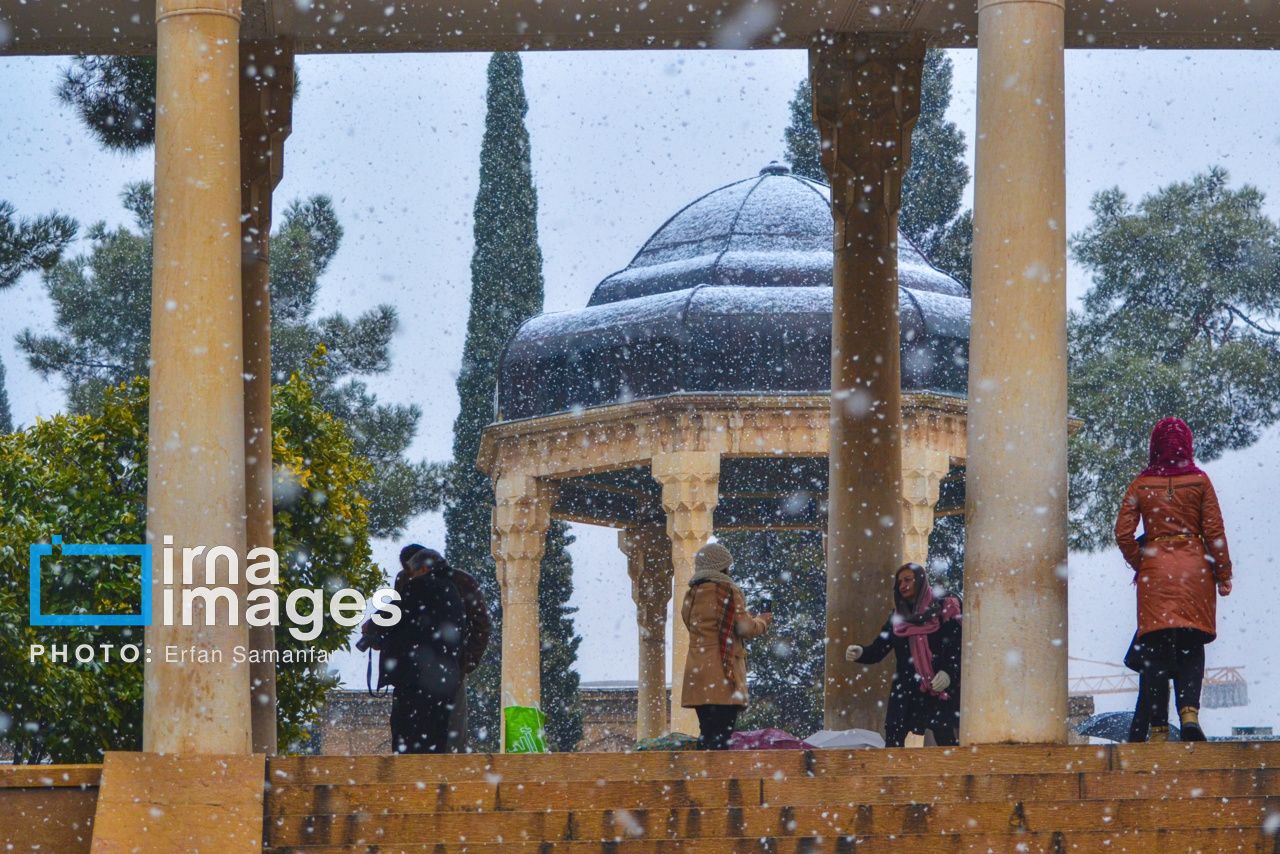 عکس/ ۱۵ اردیبهشت؛ روز شیراز