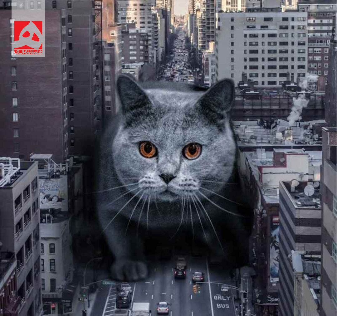 تصاویر واقعی با چاشنی خیال