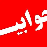 توضیح پلیس بوشهر درباره بازنشر یک فایل صوتی در فضای مجازی