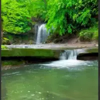 آبشار هفت گانه ی زیبا در شیرگاه