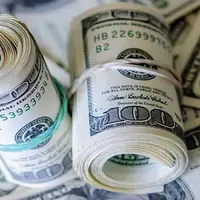 کشف بیش از ۲۰۰ هزار دلار قاچاق؛ قاچاقچیان دستگیر شدند 