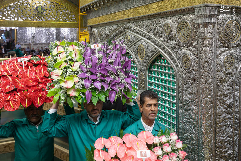 عکس/ گل‌آرایی ضریح نورانی علی ابن موسی الرضا(ع)