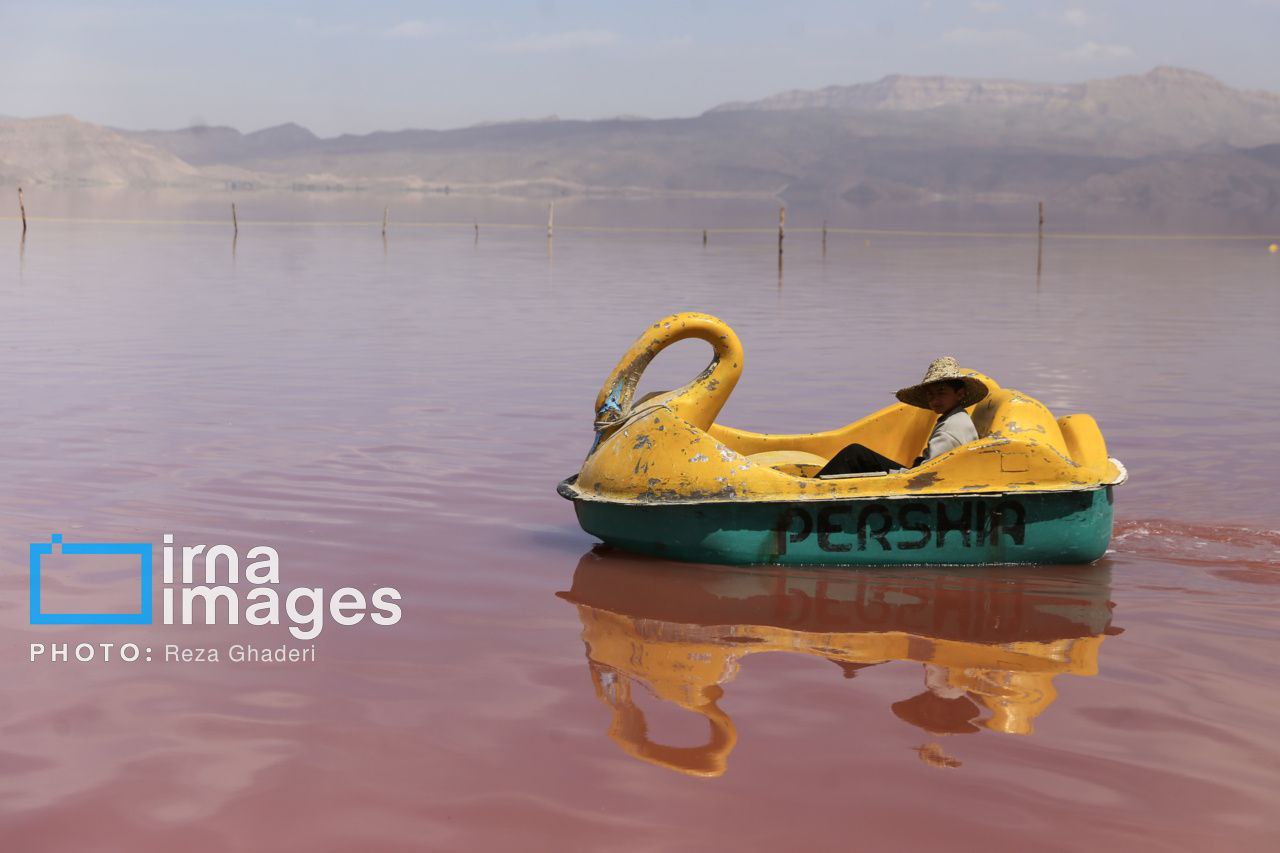 عکس/ ۱۵ اردیبهشت؛ روز شیراز