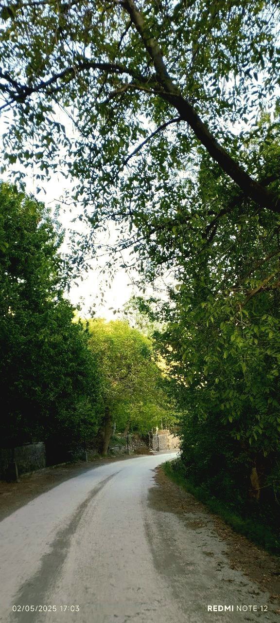 کوچه پس کوچه های روستای زیبایِ دیزباد 