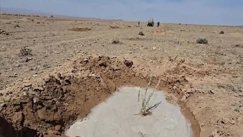 کاشت ۱۲ هزار و ۶۰۰ نهال بیابانی در دشت سربیشه