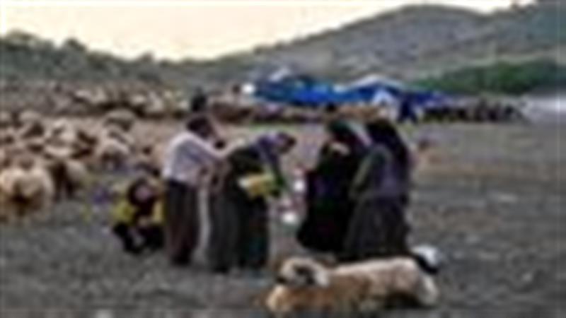 تولید بیش از 3 هزار تن محصولات عشایری در قزوین