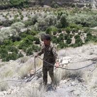 مجازات متفاوت برای محکوم علیه؛ کار رایگان به عنوان مجازات جایگزین حبس