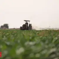 برداشت چغندرقند