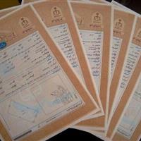 ۱۶۰۰ سند تک‌برگ در بروجرد صادر شد