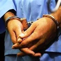 عامل آتش‌سوزی خودروهای شخصی شهروندان بوشهری دستگیر شد