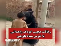 رفاقت عجیب کودک اهل زاهدان با خرس سیاه بلوچی
