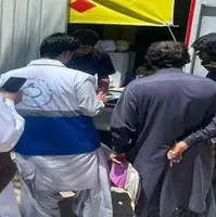 توقیف کامیون دارای تن ماهی فاقد کیفیت در سیب و سوران