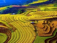 شهر زیبای ساپا در ویتنام