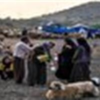 تولید بیش از سه هزار تن محصولات عشایری در قزوین