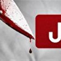 قاتل جوان ۲۱ ساله پارس‌آبادی دستگیر شد