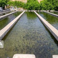 توسعه آبزی‌پروری در کردستان با تخصیص اعتبار و منابع آبی