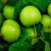 با گوجه سبز چی بپزم که هم خوشمزه باشه هم راحت!  