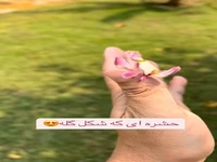 هایمانوبیس،حشره‌ای به شکل گل