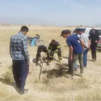 نجات یک قلاده کفتار از چاهی در مرودشت