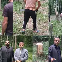 قطع درختان در بهشهر انتقام‌جویانه بود!