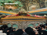 نمایی زیبا از ضریح حرم رضوی