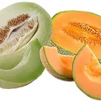 انواع طالبی ها را بشناسید و با خواص آن ها آشنا شوید