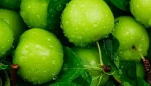 با گوجه سبز چی بپزم که هم خوشمزه باشه هم راحت!