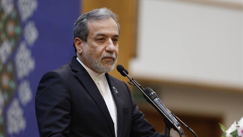 عراقچی:رضایت مجلس خبرگان رهبری از عملکرد وزارت خارجه نشان وفاق ملی است