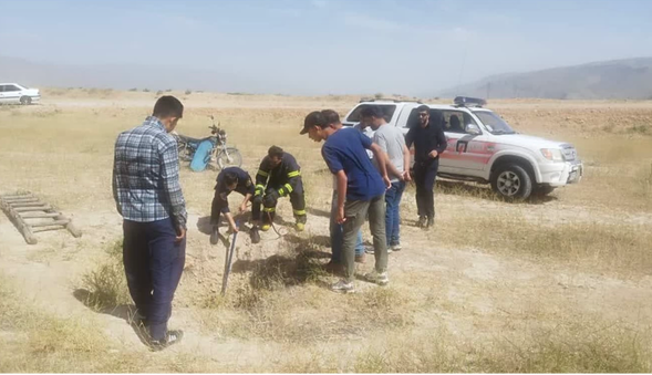 نجات یک قلاده کفتار از چاهی در مرودشت