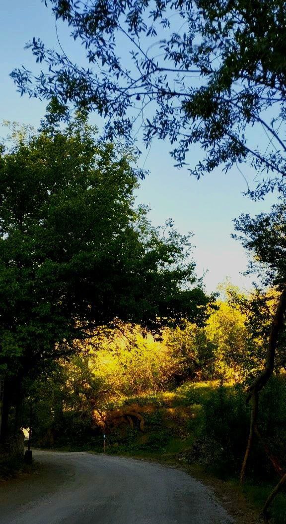 کوچه پس کوچه های روستای زیبایِ دیزباد 