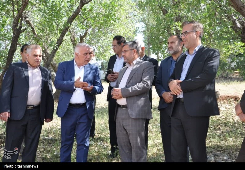 دادستان یاسوج به قطع درختان بلوط ورود کرد