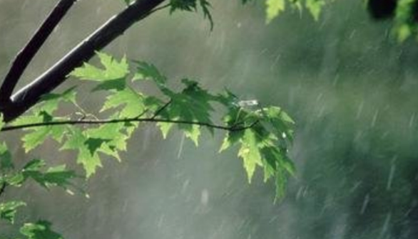 باد و باران مهمان آسمان مازندران