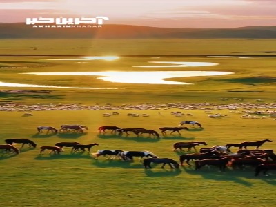طبیعت زیبای مغولستان