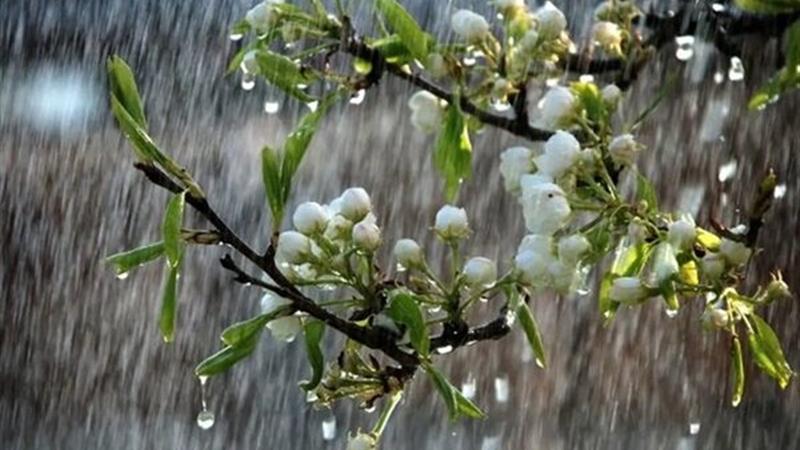 تداوم رگبارهای بهاری و افزایش دما در خراسان شمالی