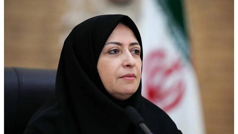 انصاری از اقدامات سازمان حفاظت محیط زیست بعد از انفجار اسکله شهید رجایی خبرداد