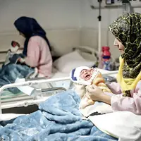 فرزندآوری معکوس؛ بررسی رشد منفی موالید در سال ۱۴۰۳ 